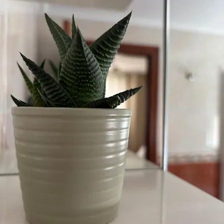 Completo En Appartamento Gijón