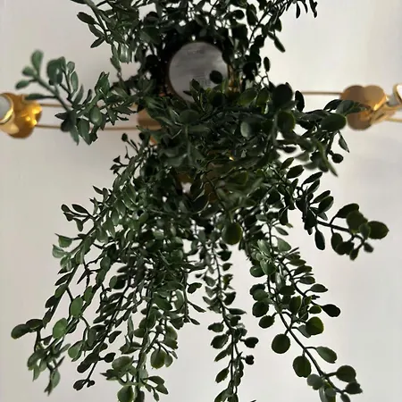 Completo En Apartamento