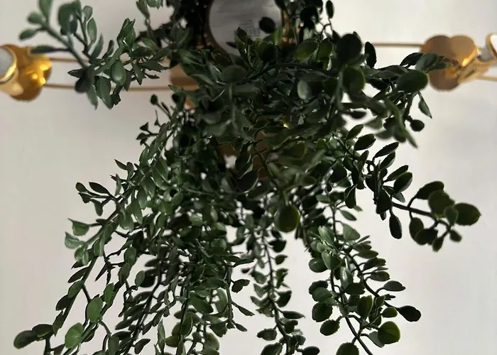 Completo En Apartment